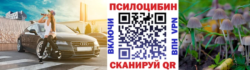 Псилоцибиновые грибы GOLDEN TEACHER  Нерчинск 